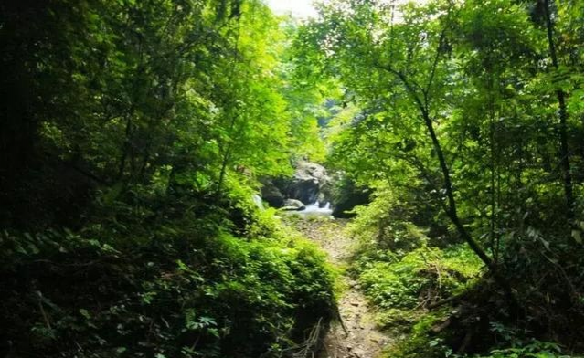 靖西通灵大峡谷首创原生态即兴自由舞户外实景呈现 - 靖西市·靖西网