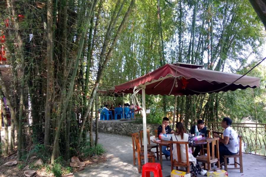 冬游老木棉 - 靖西市·靖西网