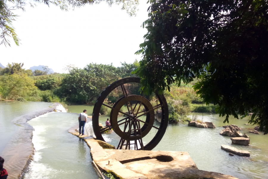 冬游老木棉 - 靖西市·靖西网