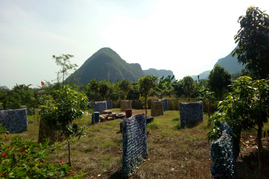 冬游老木棉 - 靖西市·靖西网