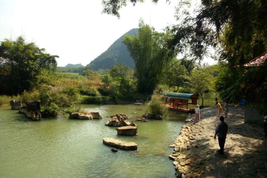 冬游老木棉 - 靖西市·靖西网