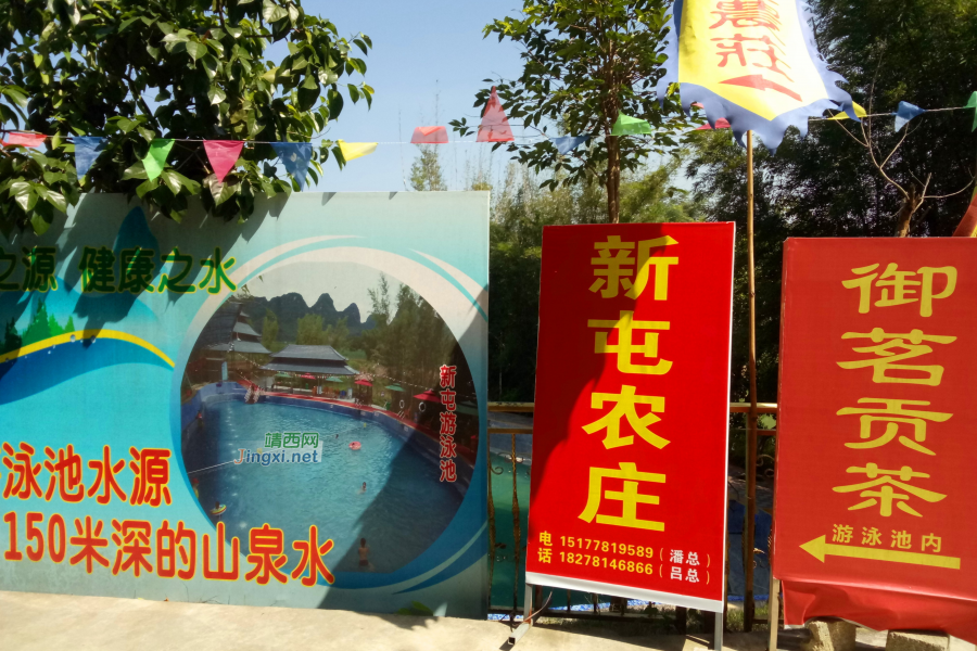 冬游老木棉 - 靖西市·靖西网