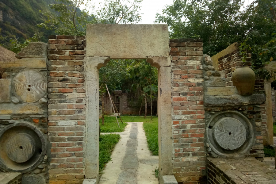 冬游老木棉 - 靖西市·靖西网