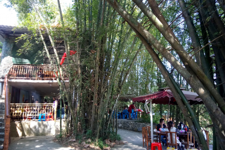 冬游老木棉 - 靖西市·靖西网