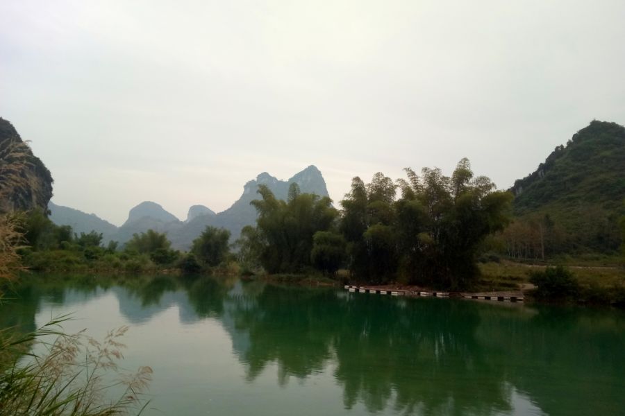 冬游老木棉 - 靖西市·靖西网