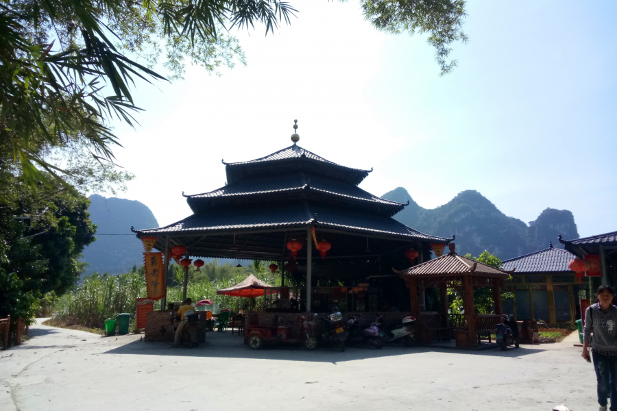 冬游老木棉 - 靖西市·靖西网