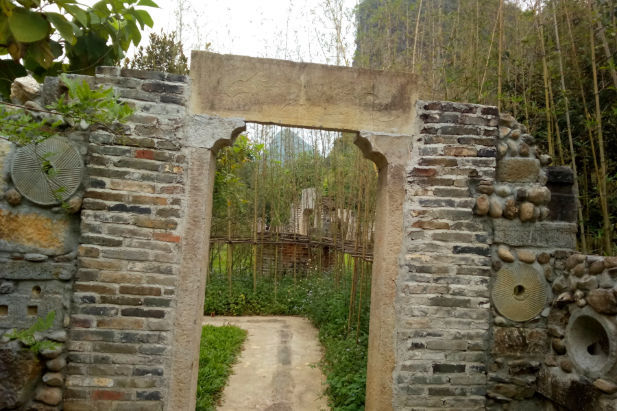 冬游老木棉 - 靖西市·靖西网