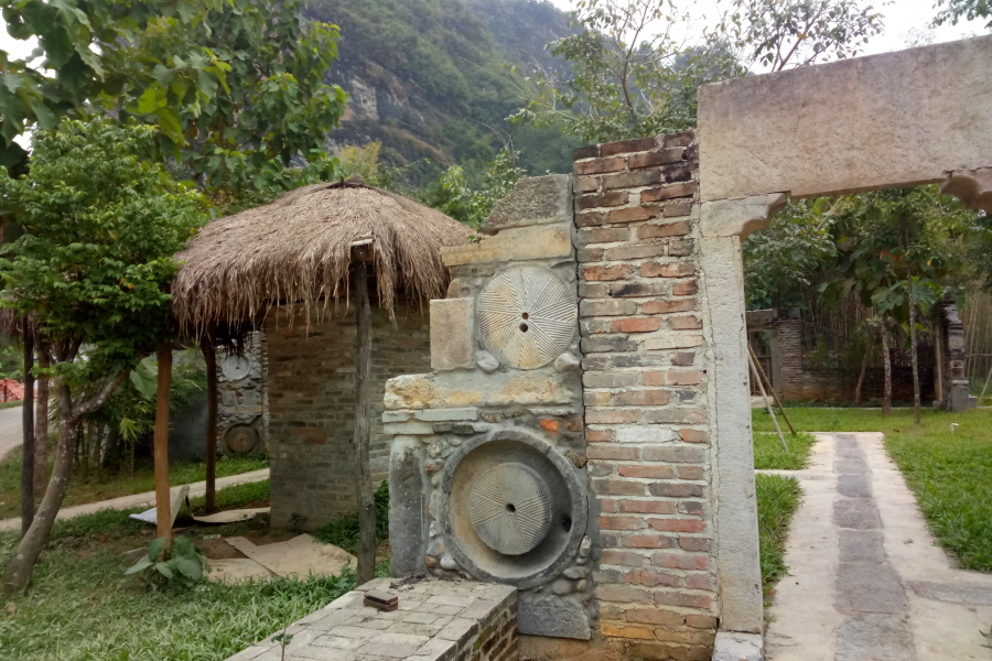 冬游老木棉 - 靖西市·靖西网