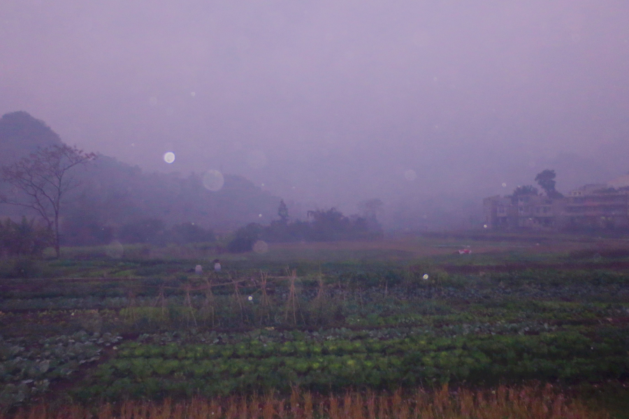 细雨绵绵，雾色朦朦 - 靖西市·靖西网