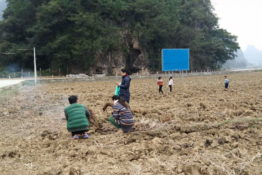 陪孩子过童年，大人玩得更疯狂！ - 靖西市·靖西网