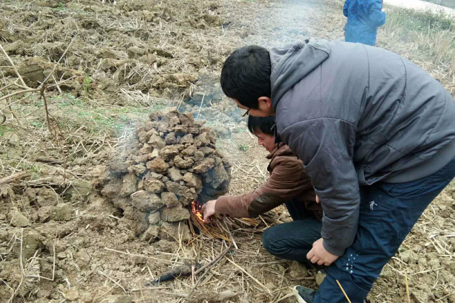 陪孩子过童年，大人玩得更疯狂！ - 靖西市·靖西网