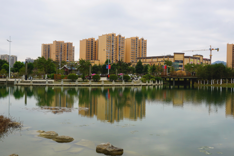 湿地风光美 - 靖西市·靖西网