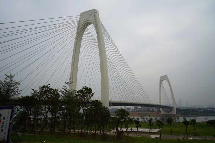 细雨绵绵，雾色朦朦 - 靖西市·靖西网