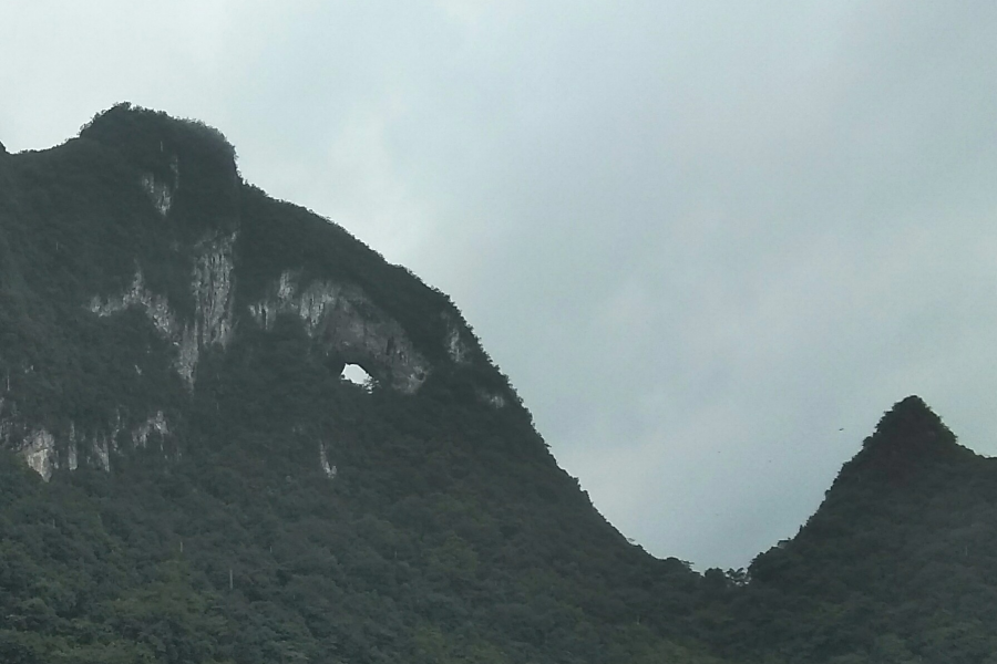 广西靖西新圩这只鸡 - 靖西市·靖西网