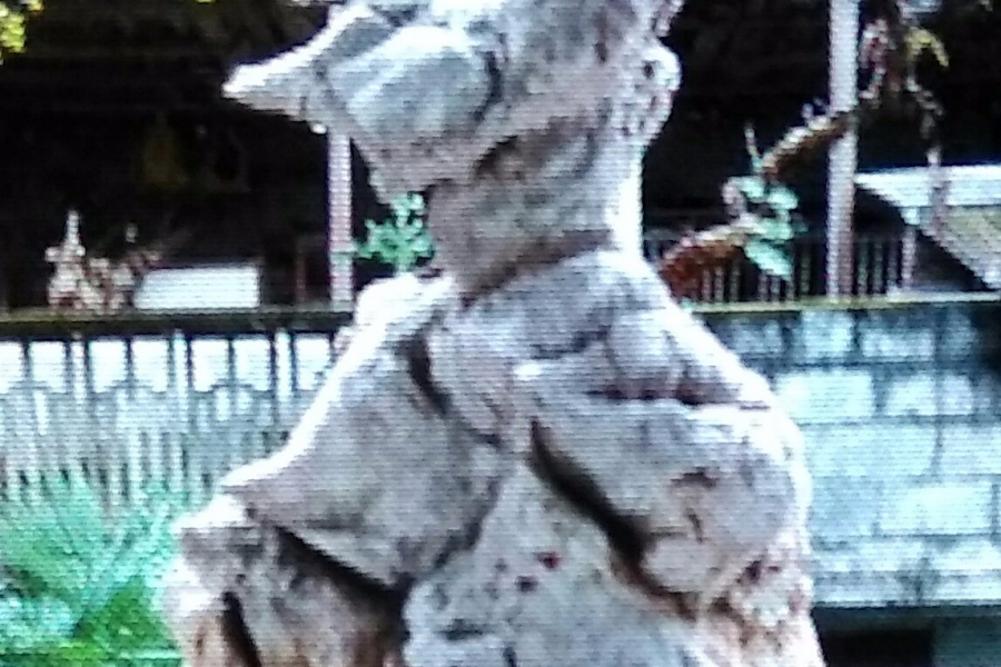 奇石 - 靖西市·靖西网