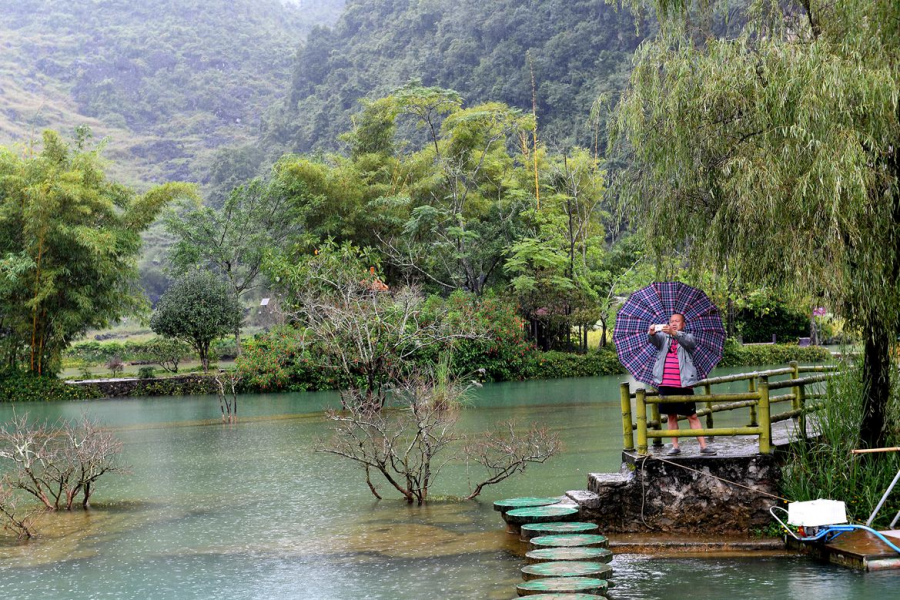 广西靖西,雨中随拍 - 靖西市·靖西网