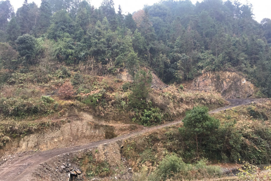 我是从大山里走出来的孩子，感受着这里的点滴 - 靖西市·靖西网