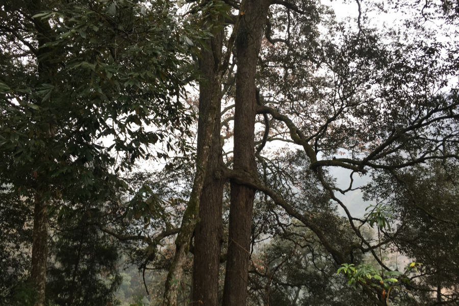 我是从大山里走出来的孩子，感受着这里的点滴 - 靖西市·靖西网