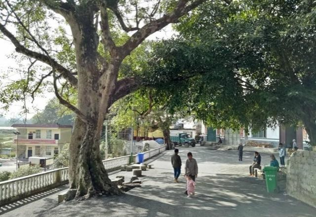 行走靖西 美丽乡村”随手拍微作品！获奖作品欣赏~ - 靖西市·靖西网