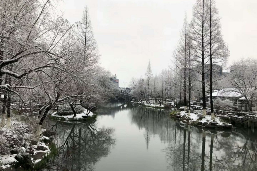 这才叫冬天 - 靖西市·靖西网