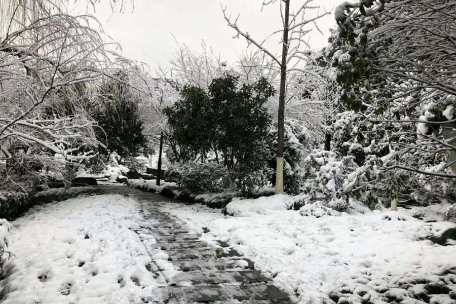 这才叫冬天 - 靖西市·靖西网