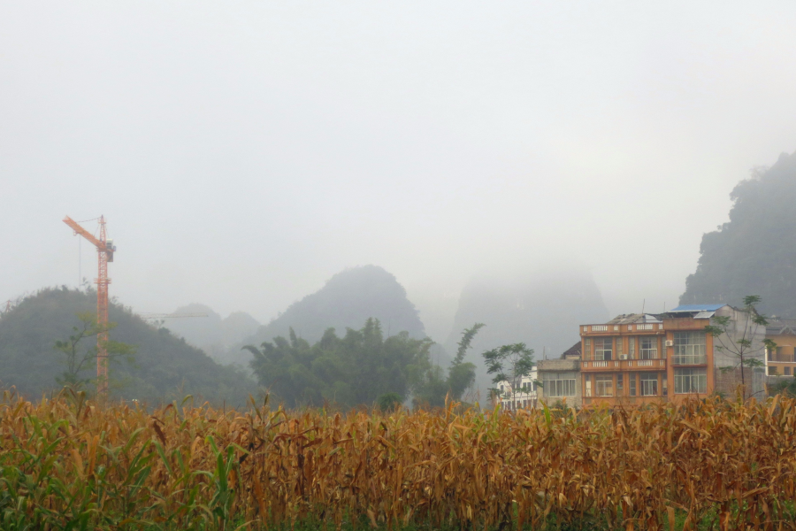 蒙蒙细雨下的田园 - 靖西市·靖西网