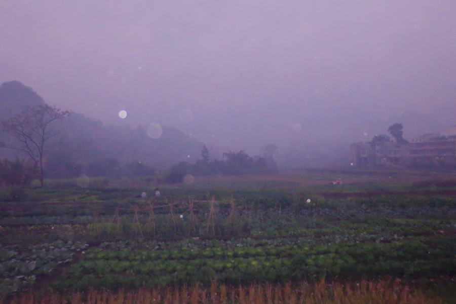 蒙蒙细雨下的田园 - 靖西市·靖西网