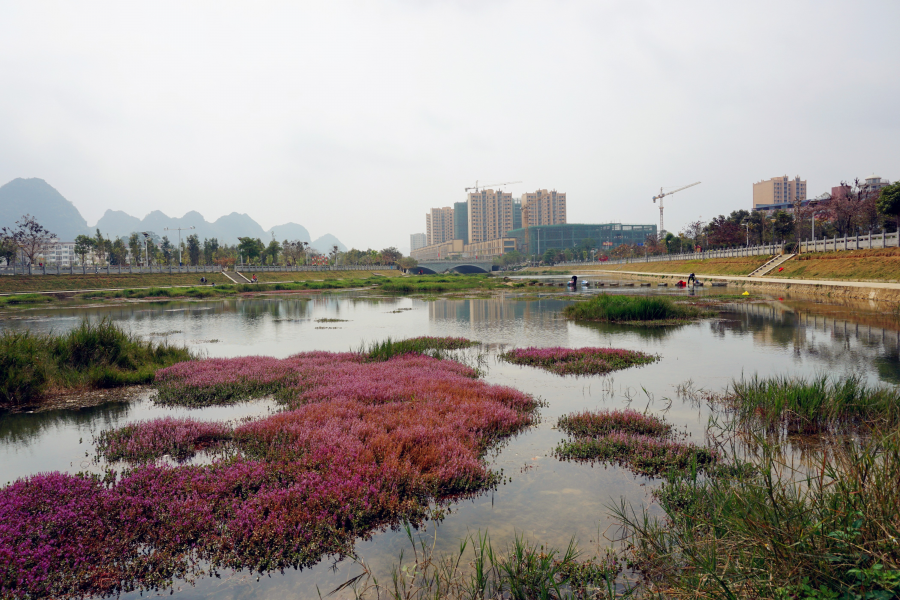 怀念昔日龙潭美景 - 靖西市·靖西网