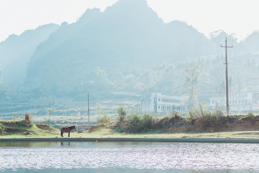 靖西的乡村，处处是美景！ - 靖西市·靖西网