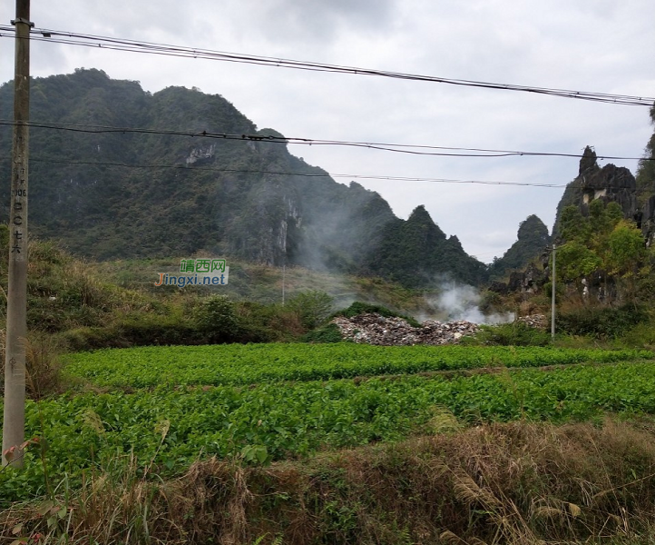 靖西某村屯，这样随意焚烧垃圾真的好吗？ - 靖西市·靖西网