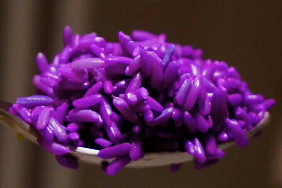 靖西五色糯米饭，漂亮到舍不得吃！ - 靖西市·靖西网