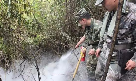 靖西龙邦发生山林火灾 ，现场火势凶猛，烟雾弥漫~~~ - 靖西市·靖西网