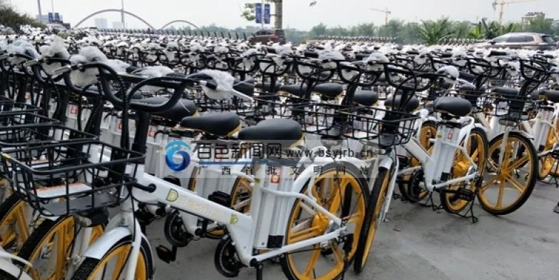 共享电踏车进驻百色！投放1万辆、每30分钟收费2元…… - 靖西市·靖西网