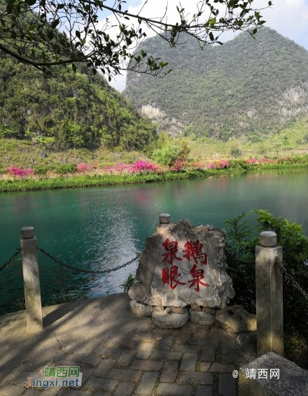 游览鹅泉景区随手拍 - 靖西市·靖西网
