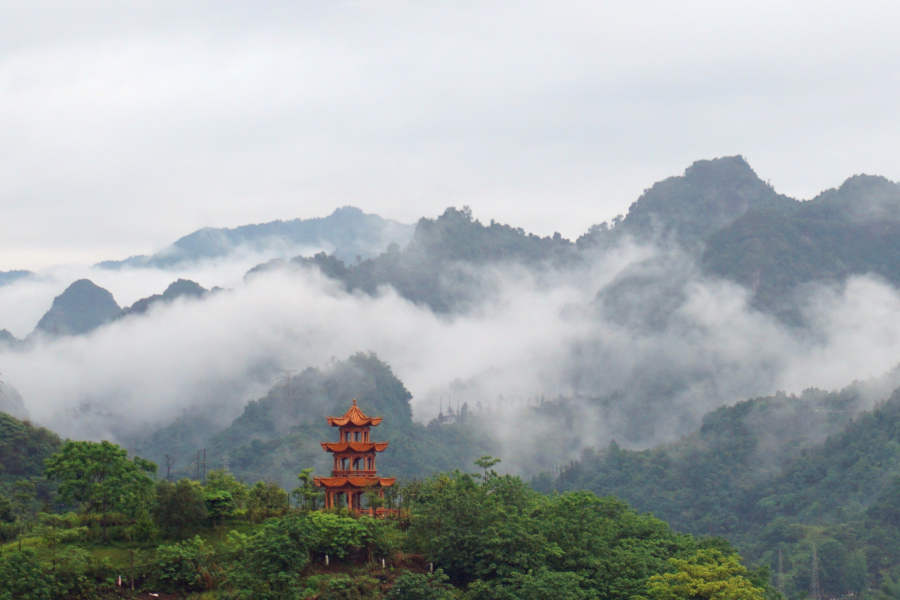 雨后的云雾山,仙境般存在人间。 - 靖西市·靖西网