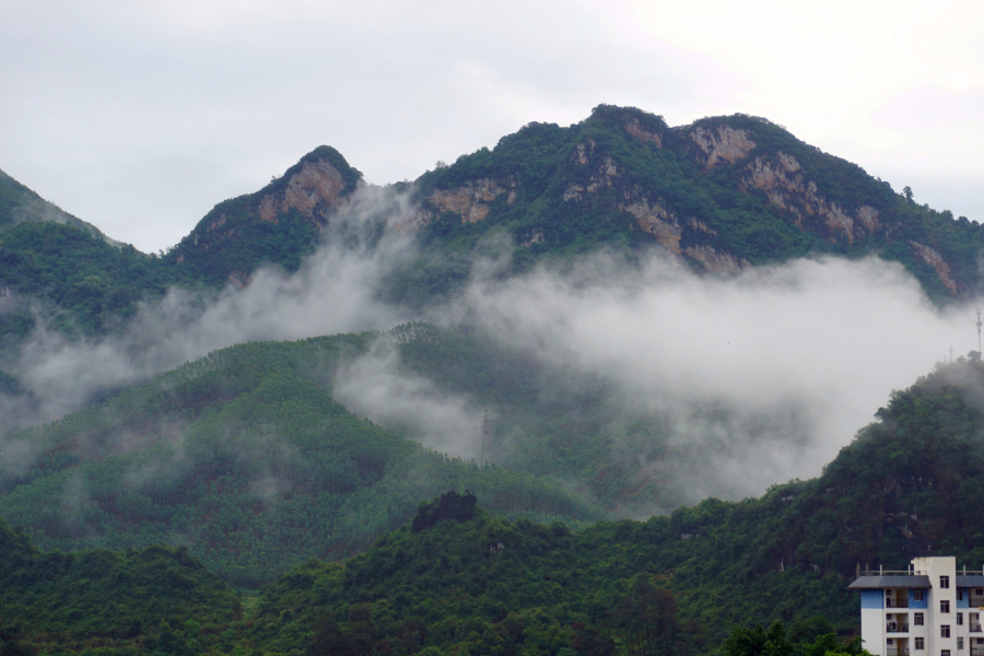 雨后的云雾山,仙境般存在人间。 - 靖西市·靖西网