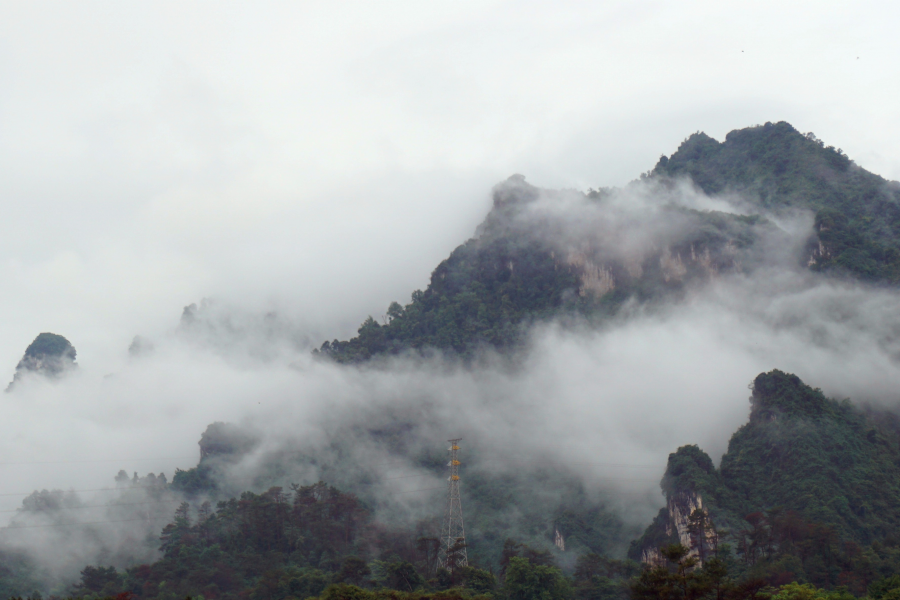 雨后的云雾山,仙境般存在人间。 - 靖西市·靖西网