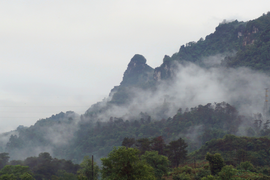 雨后的云雾山,仙境般存在人间。 - 靖西市·靖西网