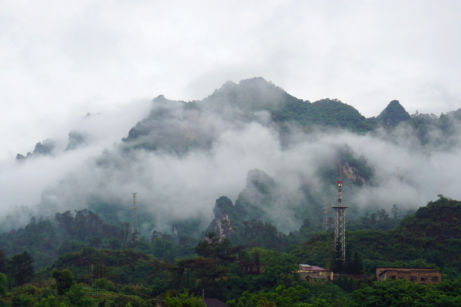 雨后的云雾山,仙境般存在人间。 - 靖西市·靖西网