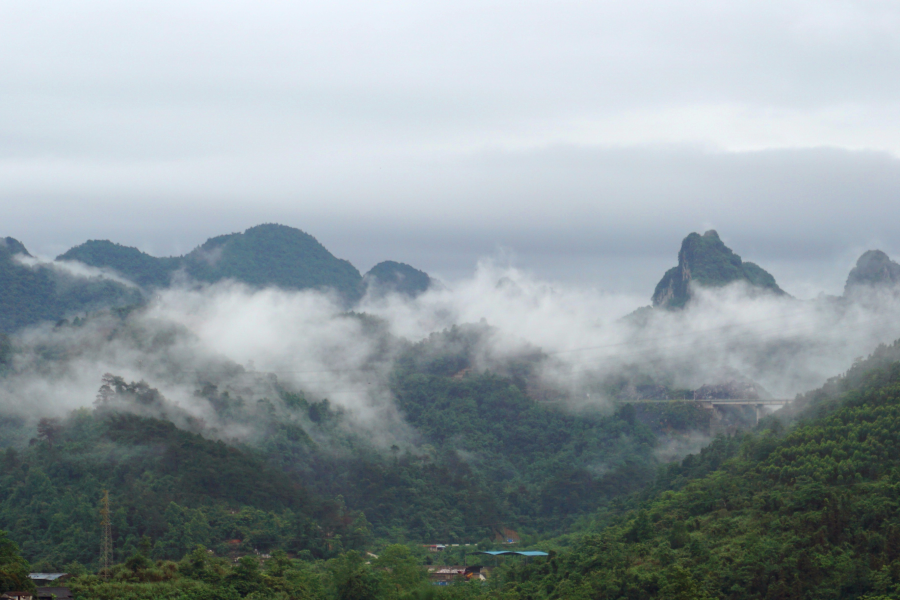 雨后的云雾山,仙境般存在人间。 - 靖西市·靖西网
