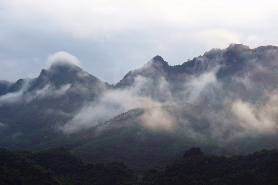 雨后的云雾山,仙境般存在人间。 - 靖西市·靖西网
