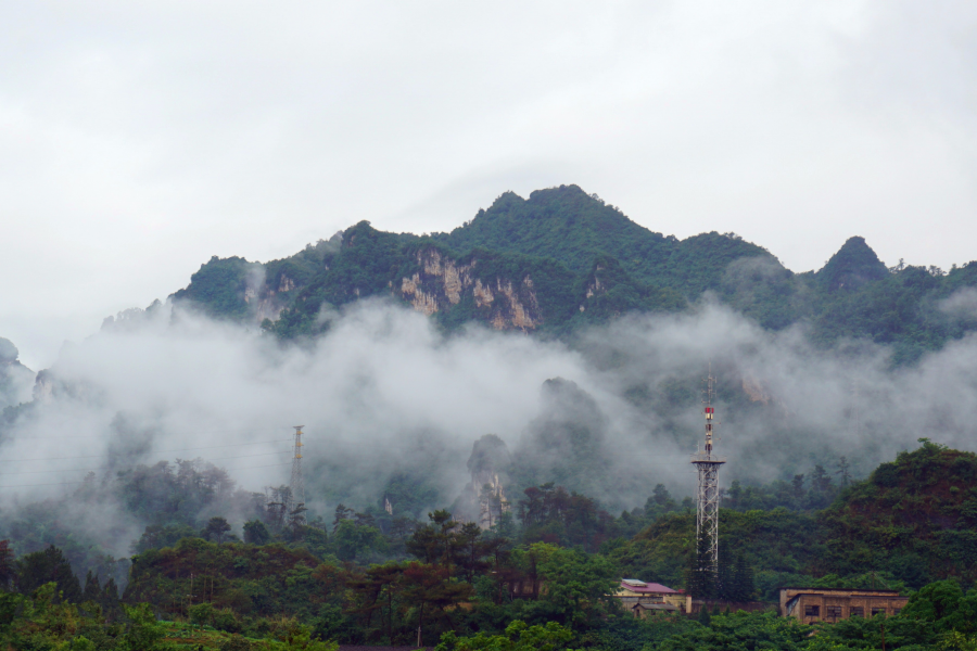 雨后的云雾山,仙境般存在人间。 - 靖西市·靖西网