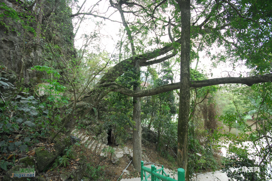 又是一年山岳山：宾山 - 靖西市·靖西网