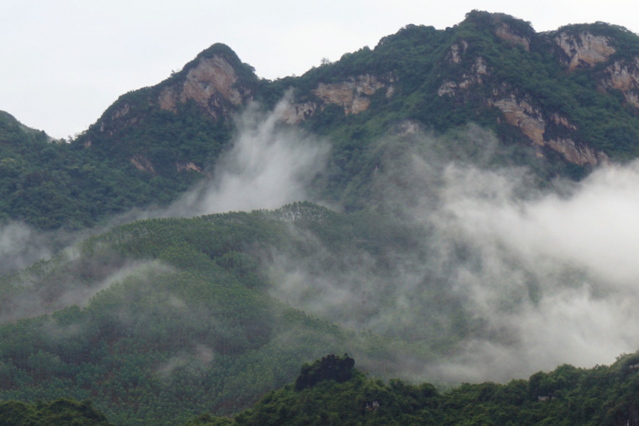 雨后的云雾山,仙境般存在人间。 - 靖西市·靖西网