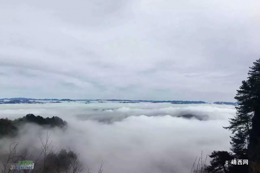 和同事的张家界上山下海游记 - 靖西市·靖西网