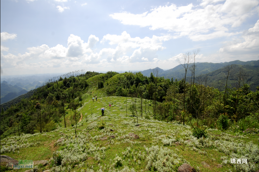 又是一年山岳山：恐怖的乌鸦山 - 靖西市·靖西网