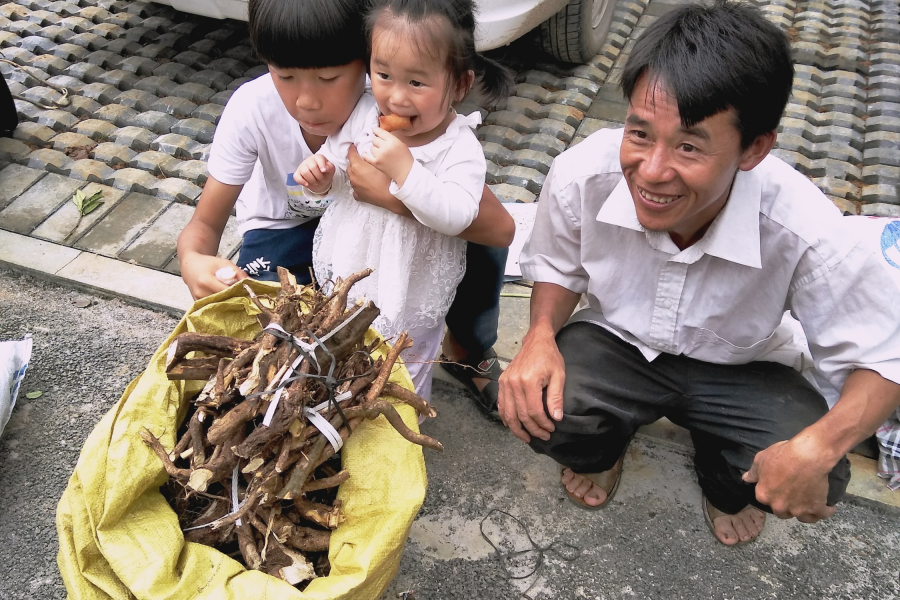 小朋友也逛药市 - 靖西市·靖西网