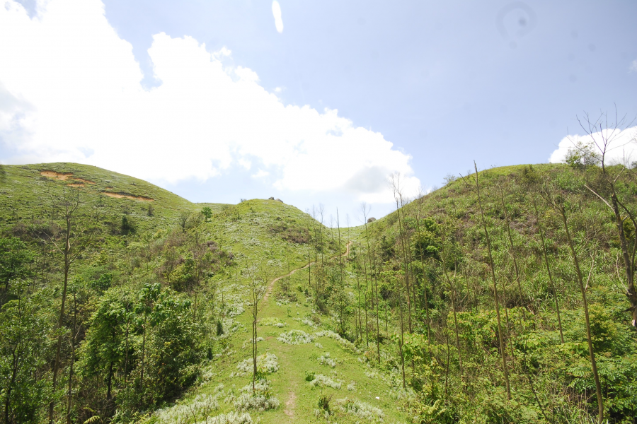 又是一年山岳山：恐怖的乌鸦山 - 靖西市·靖西网