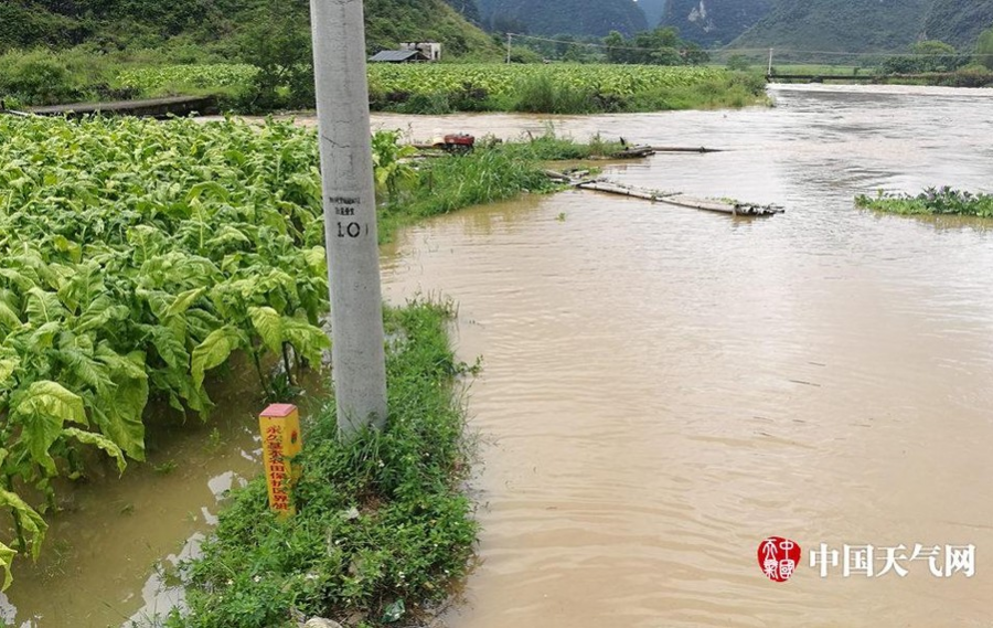 大暴雨夜袭靖西 河流水位暴涨农田被淹 - 靖西市·靖西网