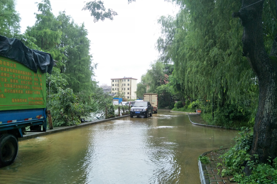 苏堤河边是否太低?如何处理进水问题? - 靖西市·靖西网